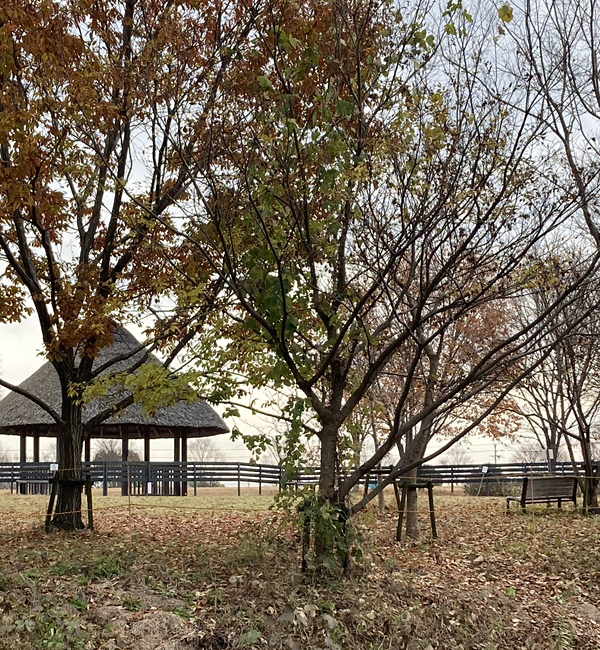 守山の自然公園