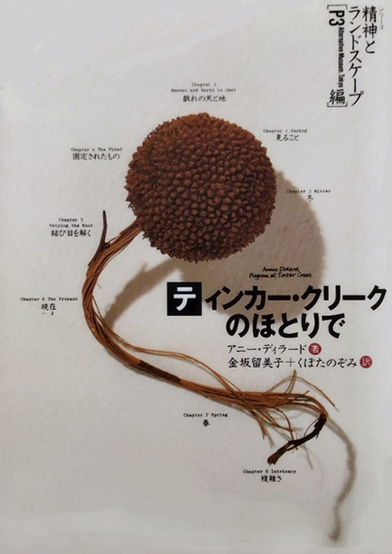 「ティンカー・クリークのほとりで」